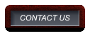 CONTACT US CONTACT US