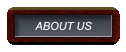 ABOUT US ABOUT US