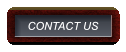 CONTACT US CONTACT US